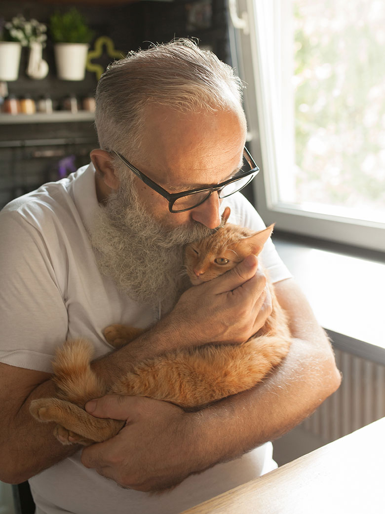An image of an emotional support cat sitting on a windowsill with a headline about ESA registration in Jupiter, Florida.